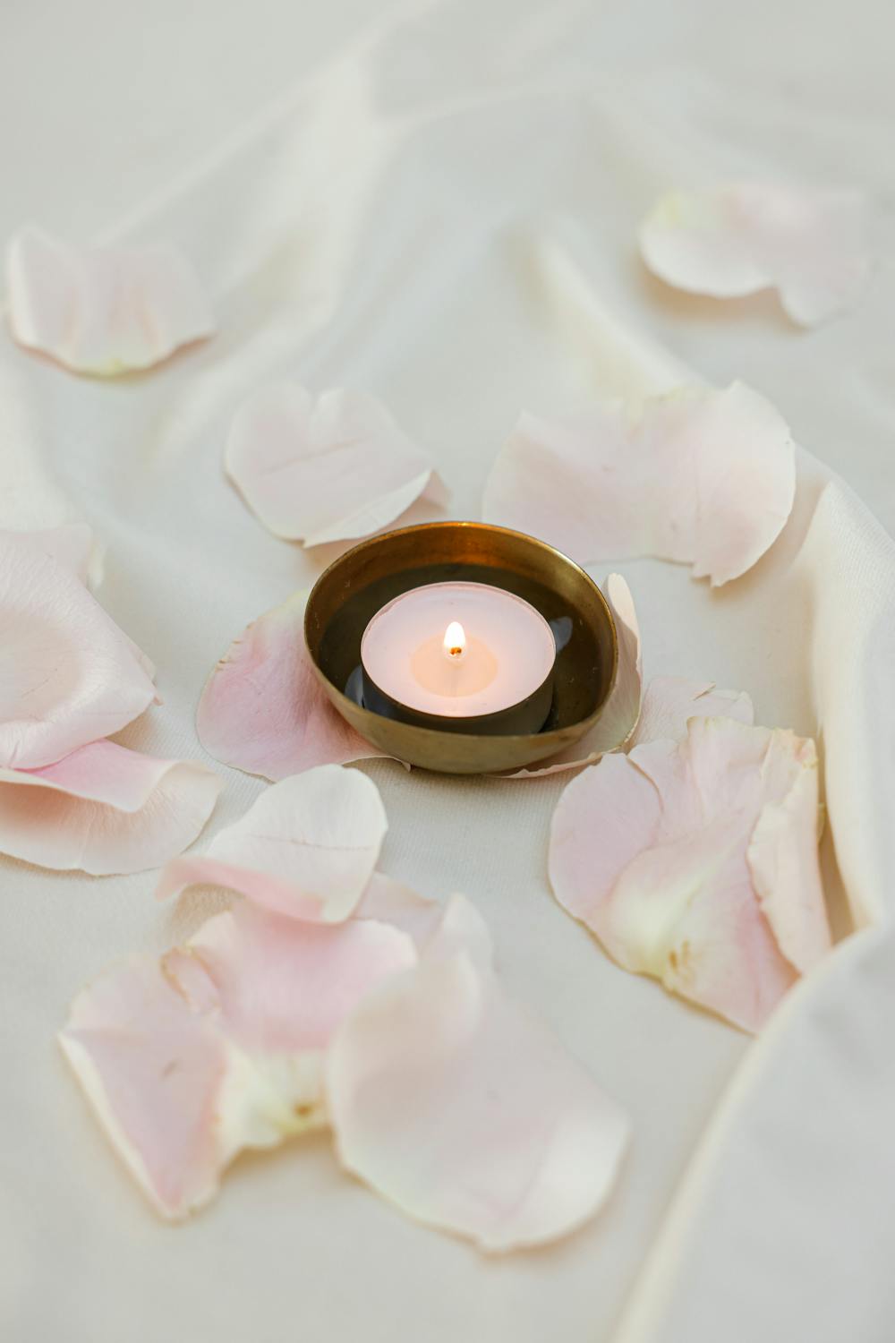 Cozy Vanilla Lavender Cozy Vanilla Lavender