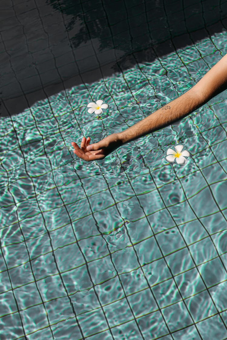 Clear Water In A Pool, Flower Heads And An Arm Of A Man 