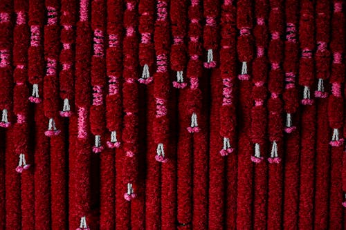 Ilmainen kuvapankkikuva tunnisteilla köydet, kukat, punainen