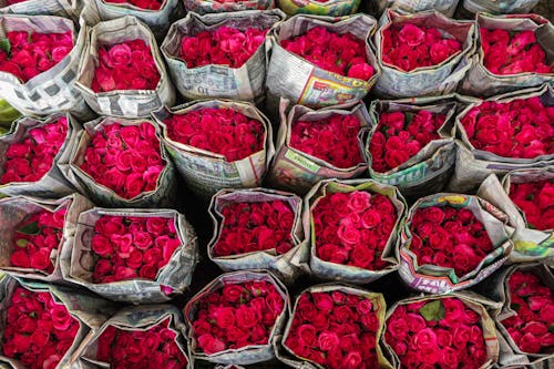 Bouquets of Roses
