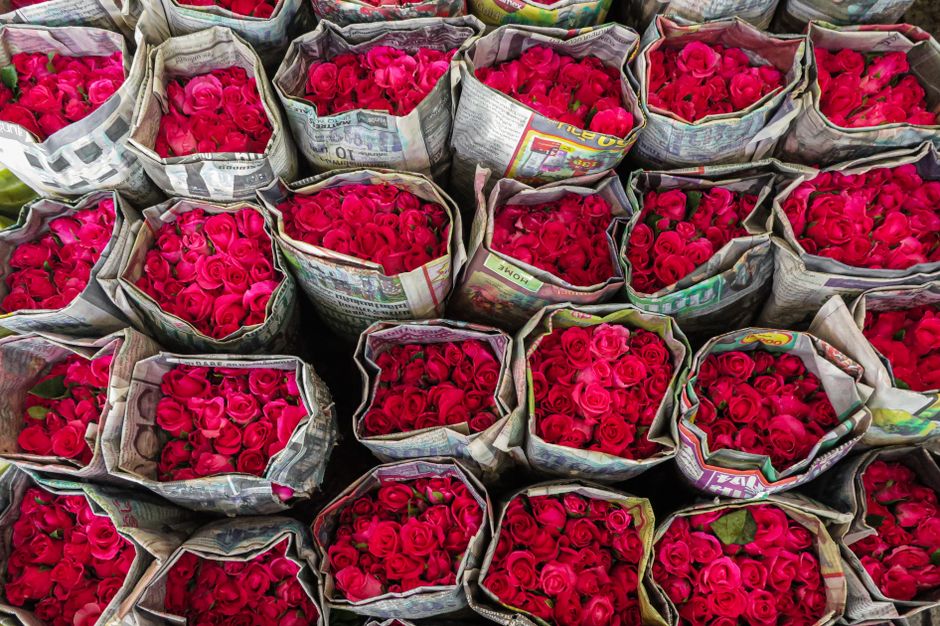 Valentine's Day Marketing & Design Guide