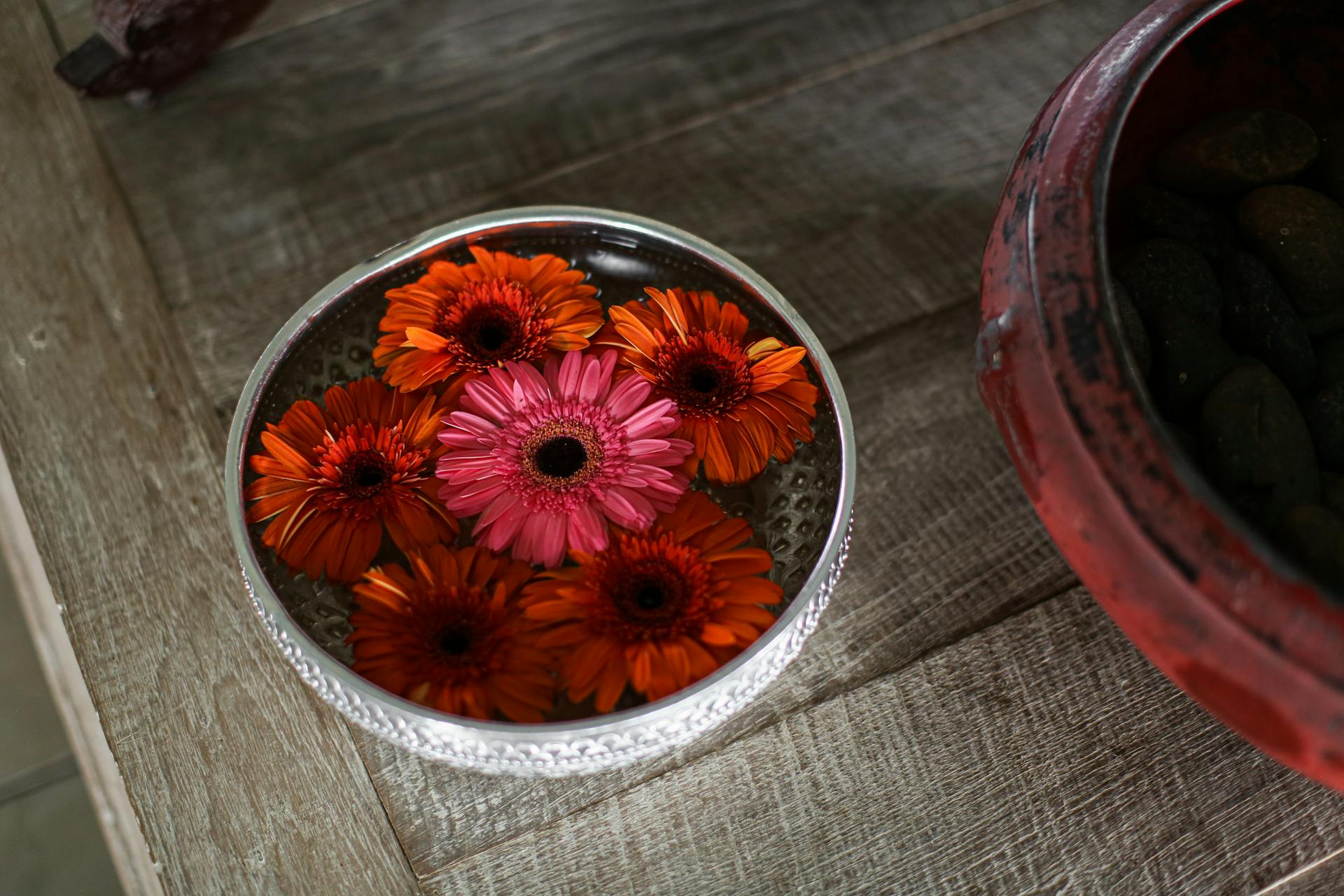 Colorful gerbera daisies floating in a silver bowl, creating a vibrant floral display on a wooden surface.