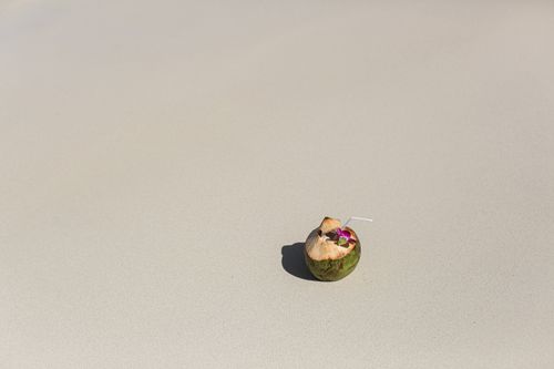 Free A refreshing coconut drink with a straw and flower on a sunny beach for relaxation. Stock Photo