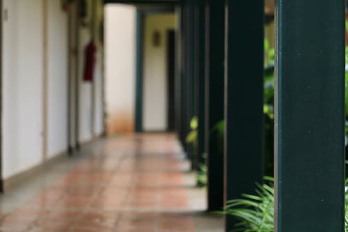 Free stock photo of foot path