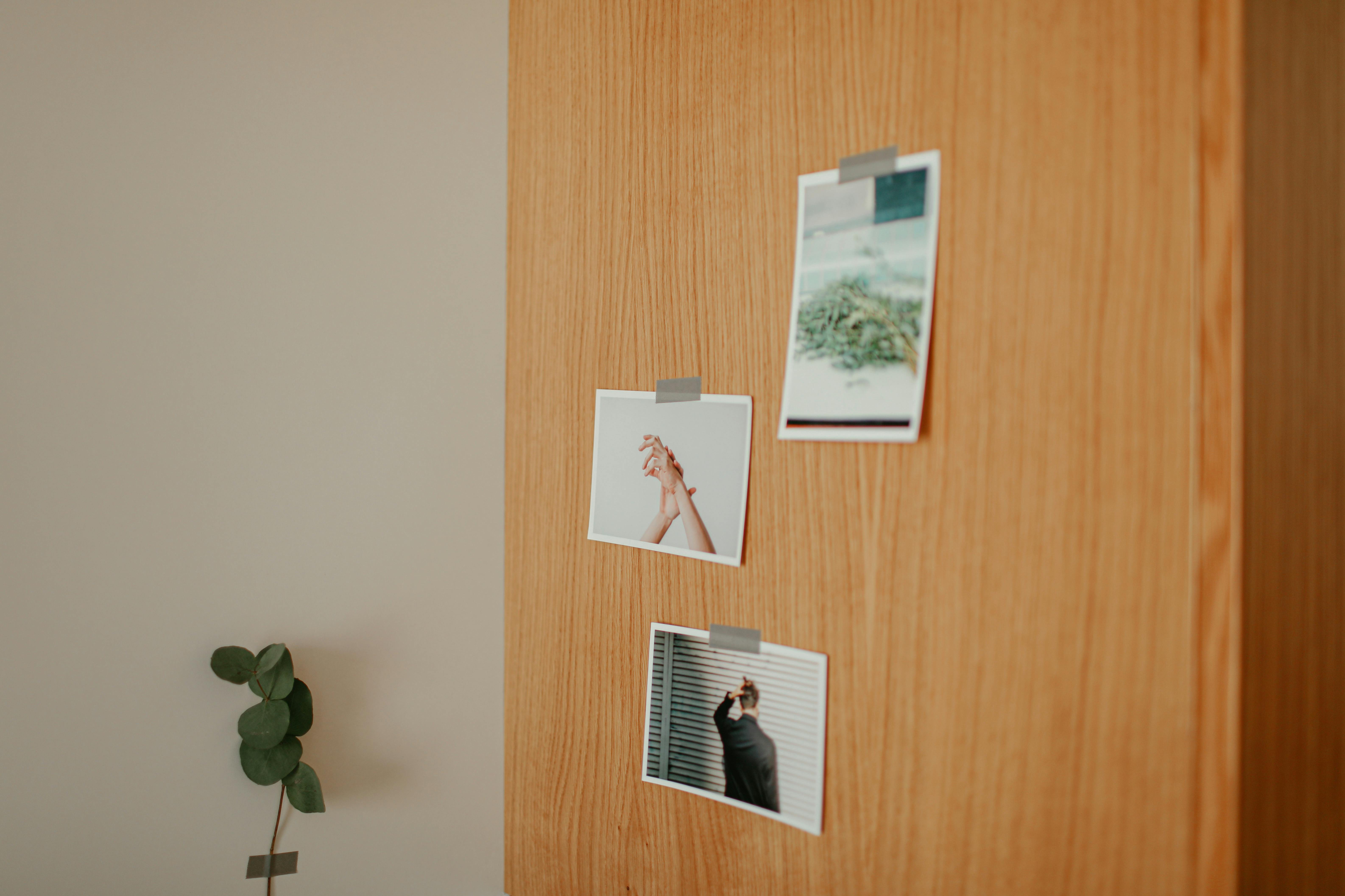 photographs taped on a wooden surface