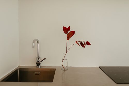 Free Stylish modern kitchen setup with a faucet, sink, and vase with red leaves on a sleek countertop. Stock Photo
