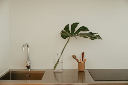 Free Sleek kitchen design featuring a monstera leaf in a glass vase and a stainless steel sink. Stock Photo