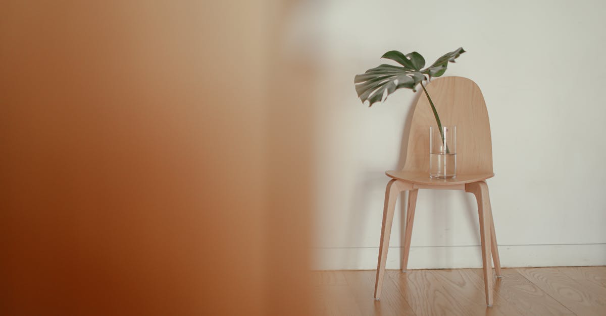 Comment transformer une vieille chaise en pièce maîtresse