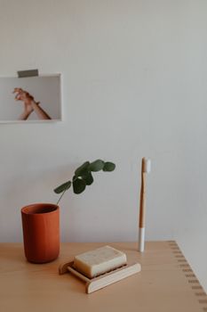 Simple bathroom setup with toothbrush, soap, and plant for a serene feel.
