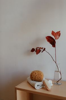Elegant still life featuring a branch with leaves in a vase and a natural sponge on towels against a white wall.