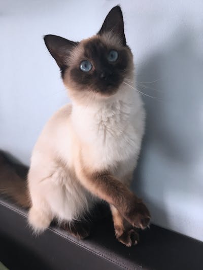 Emergency First Aid Kit