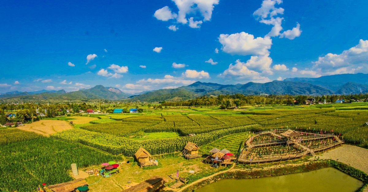 ¿Qué experiencias de agroecoturismo existen en El Salvador? ¿Qué experiencias de agroecoturismo existen en El Salvador?