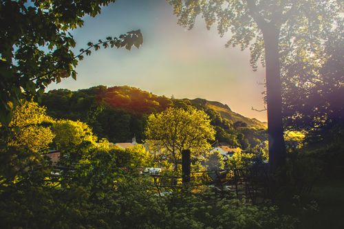 Free Lush greenery and sunlit trees create a peaceful countryside scene at sunset. Ideal for nature and travel lovers. Stock Photo