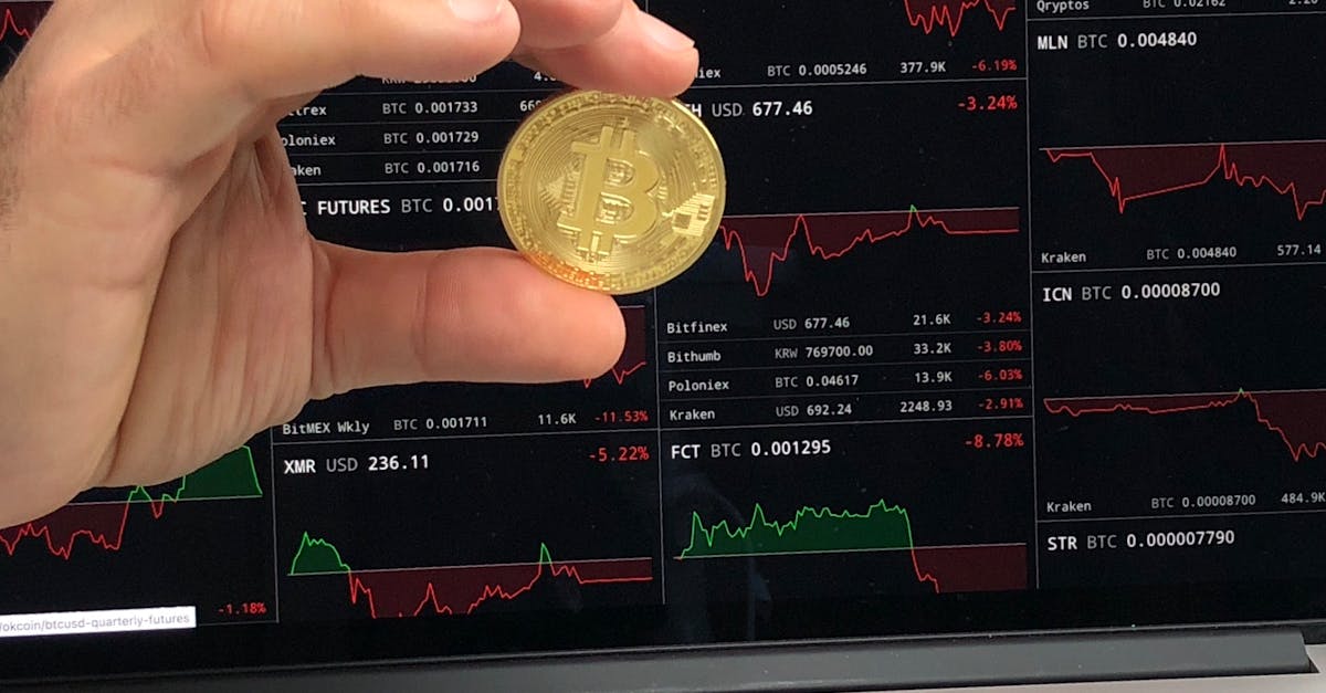 Free stock photo of Hand holding cryptocurrency