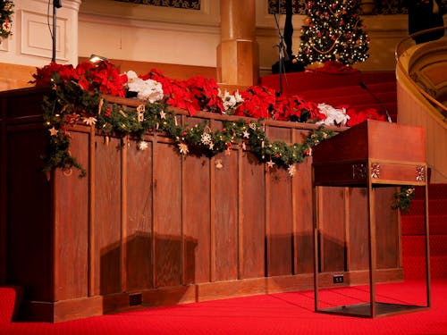 Red Poinsettias on Red Textile