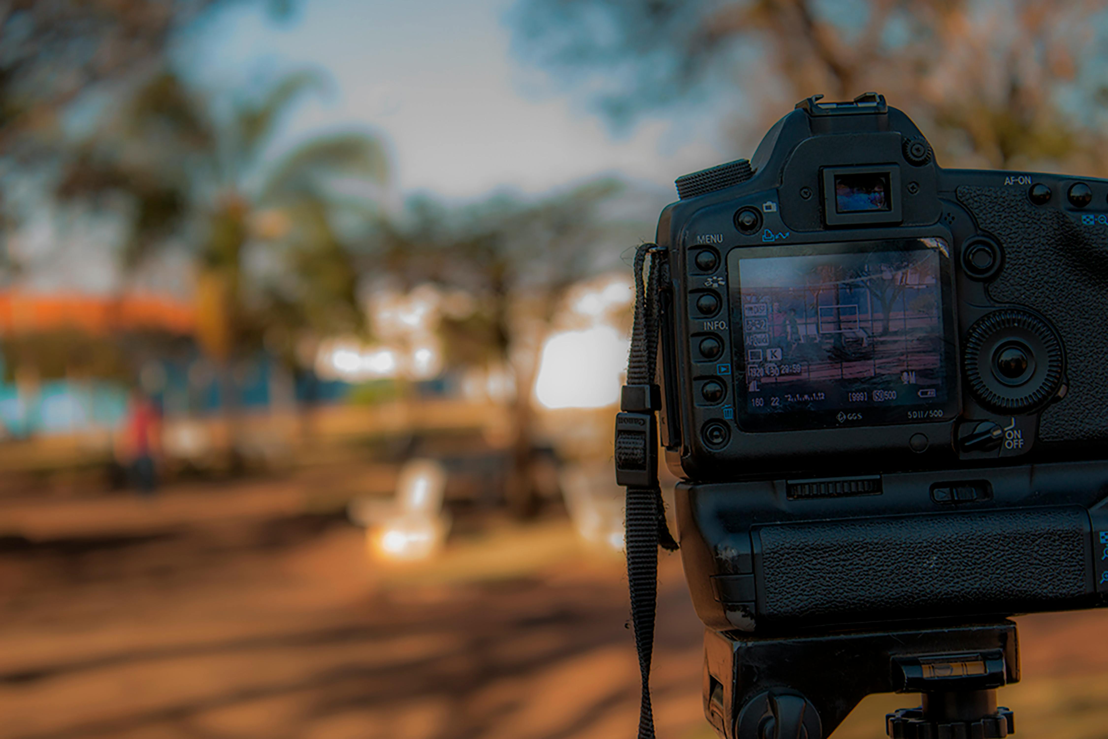 UF adds Western canon-focused courses to general education — Photo by Marcelo  Jaboo on Pexels