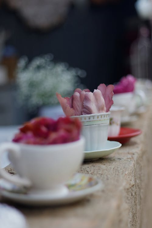 Kostnadsfri bild av blommig, blommor, bokeh