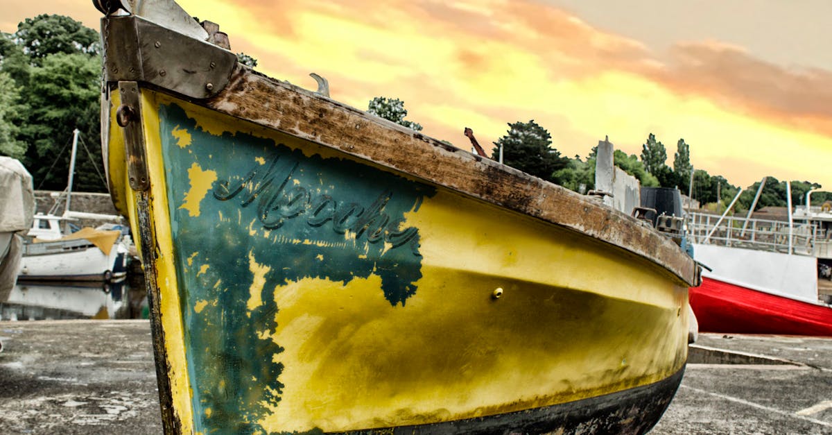 Yellow and Black Boat