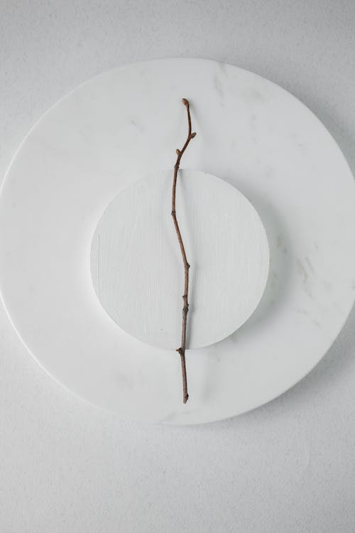 A Stick Lying on a White Marble Plate 