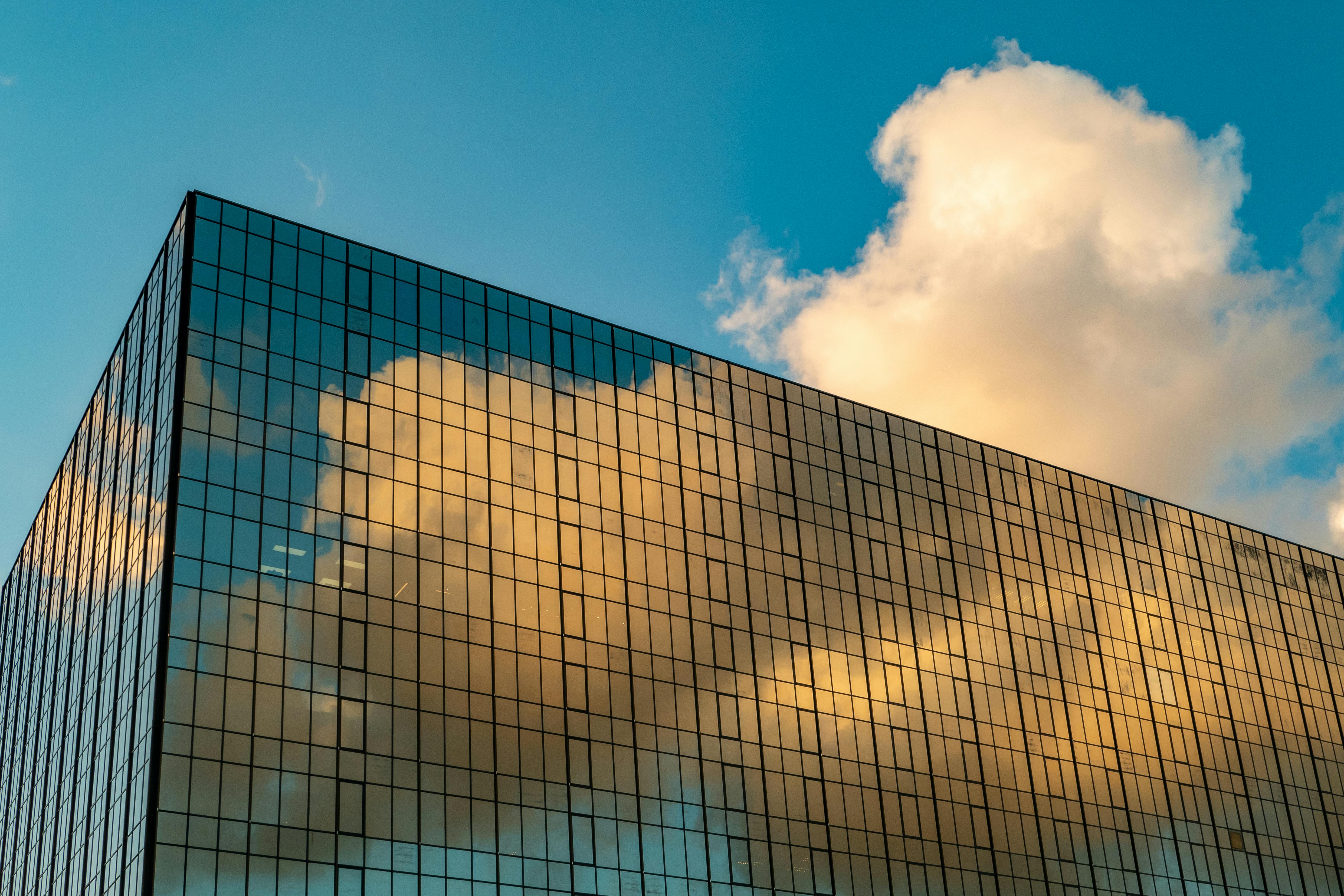 Introducing the AMD Developer Cloud — Photo by Jimmy Chan on Pexels