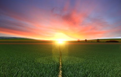 Imagine de stoc gratuită din agricultură, apus, câmp