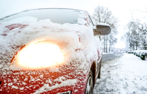 Immagine gratuita di alberi, auto, automobile