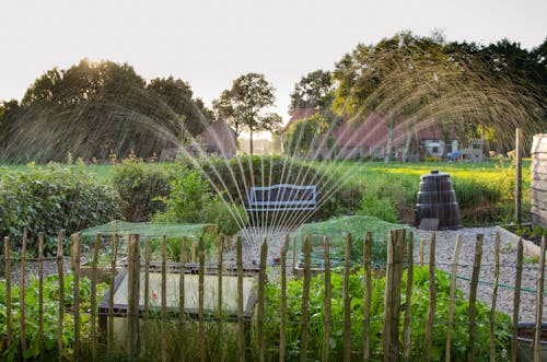 Spraying of Water on Plants 