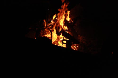 Free stock photo of barbeque, bonfire, party Stock Photo