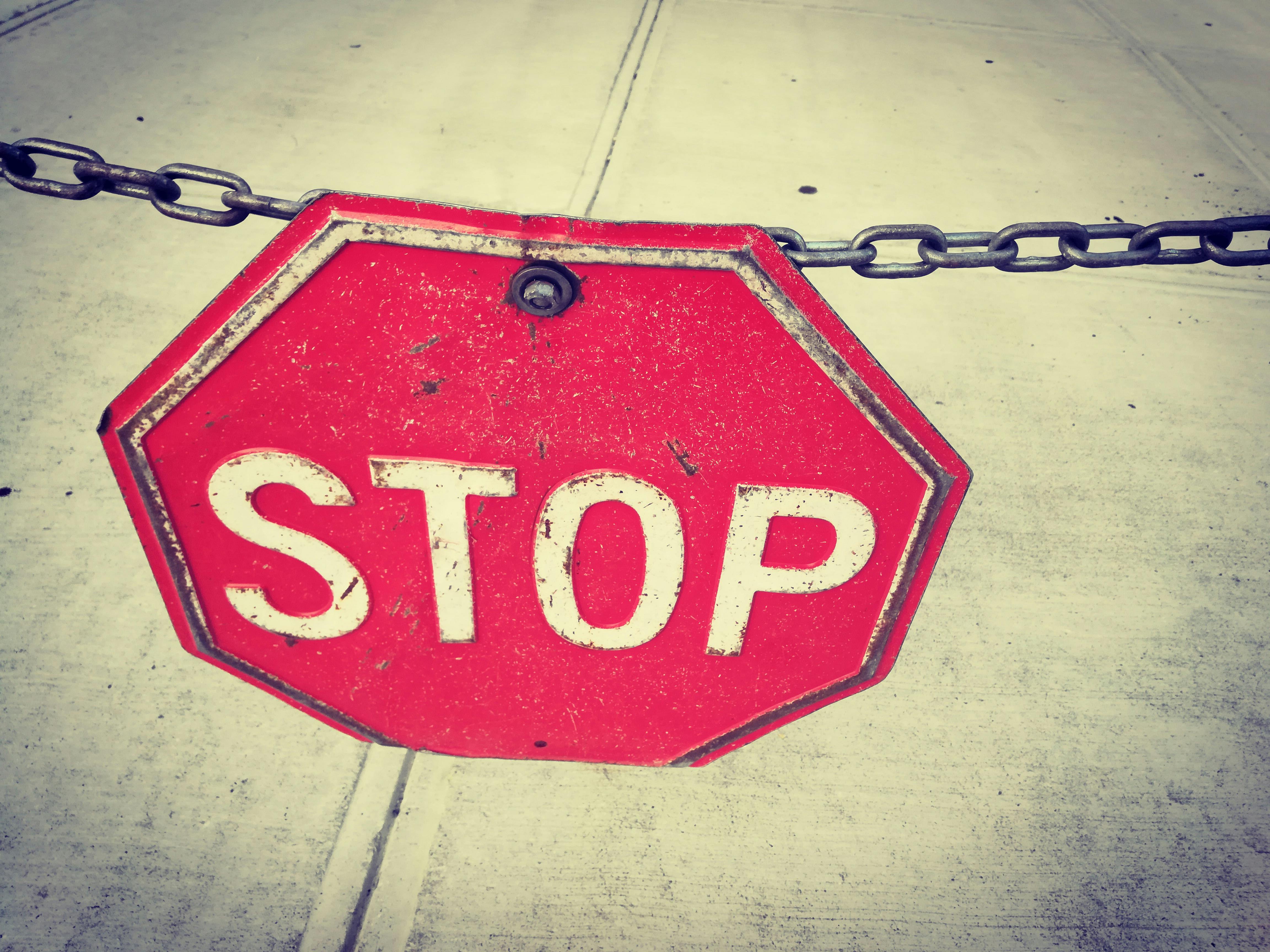 High-protein snack bars on a table