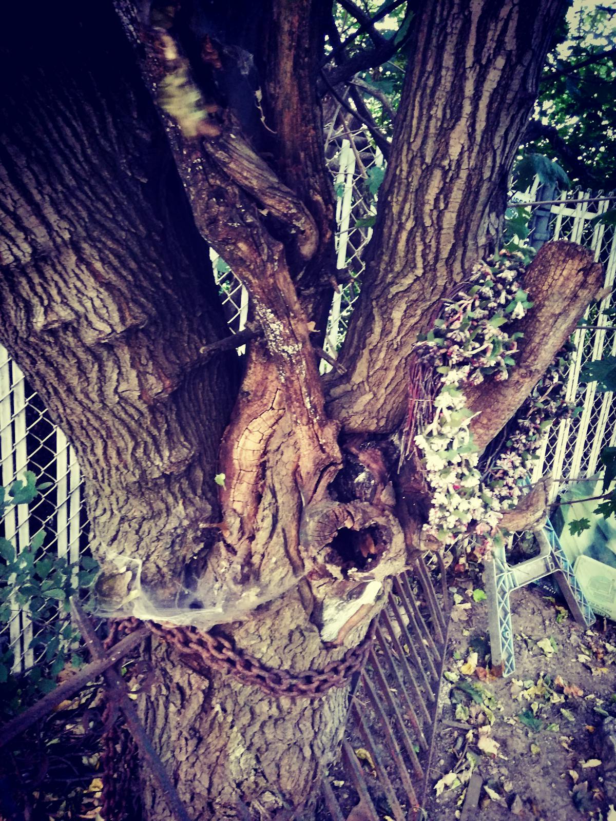 Person preparing bowls of vegetables, grains, and proteins in a meal prep setting