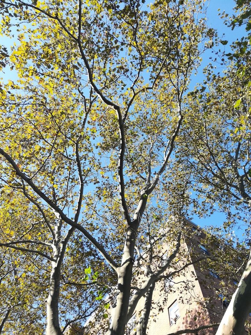 Premium executive property exterior Luxury executive home rental exterior with pool and modern architecture