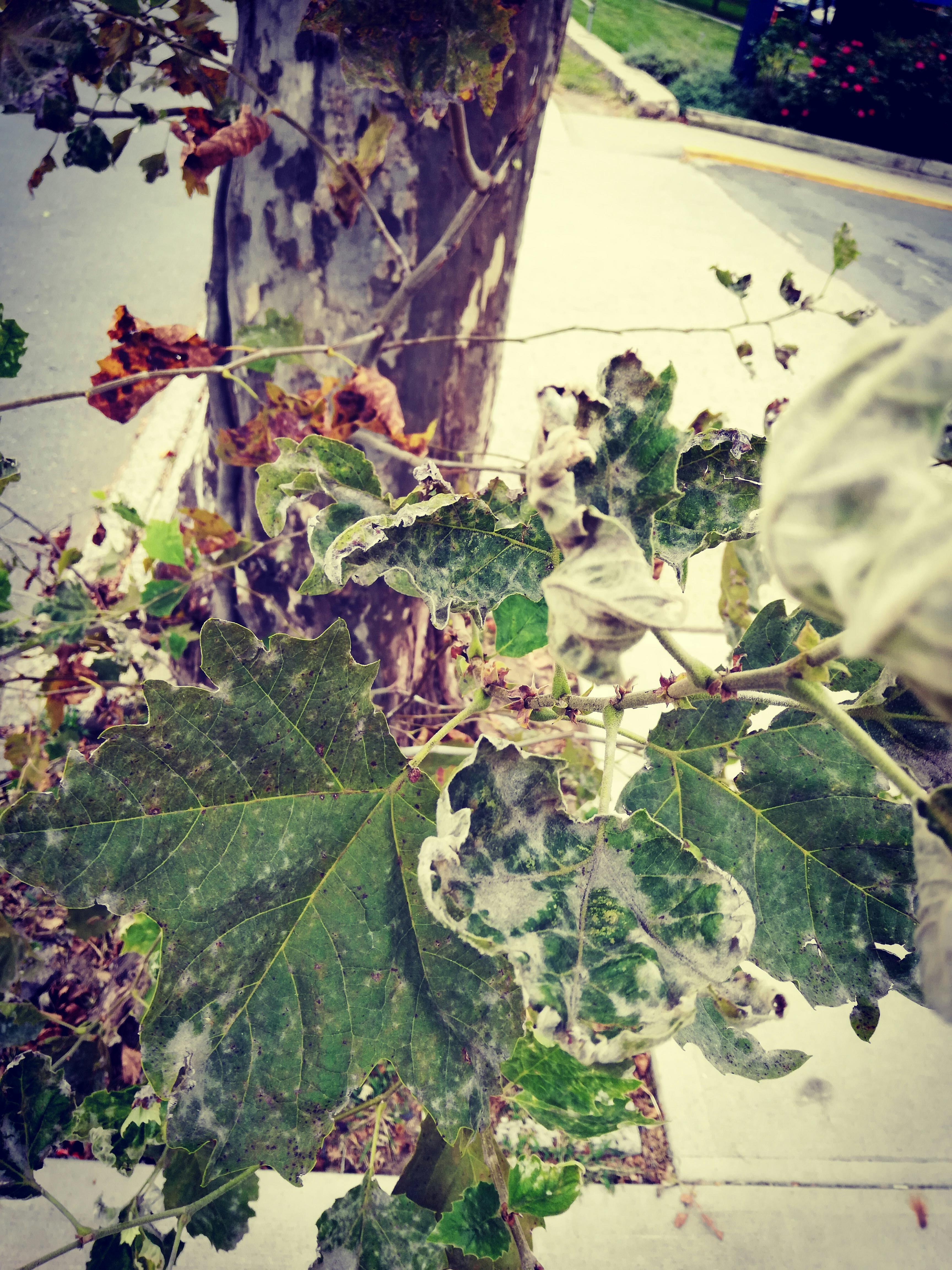Woman waking up in bed reaching for a glass of water with a dry mouth