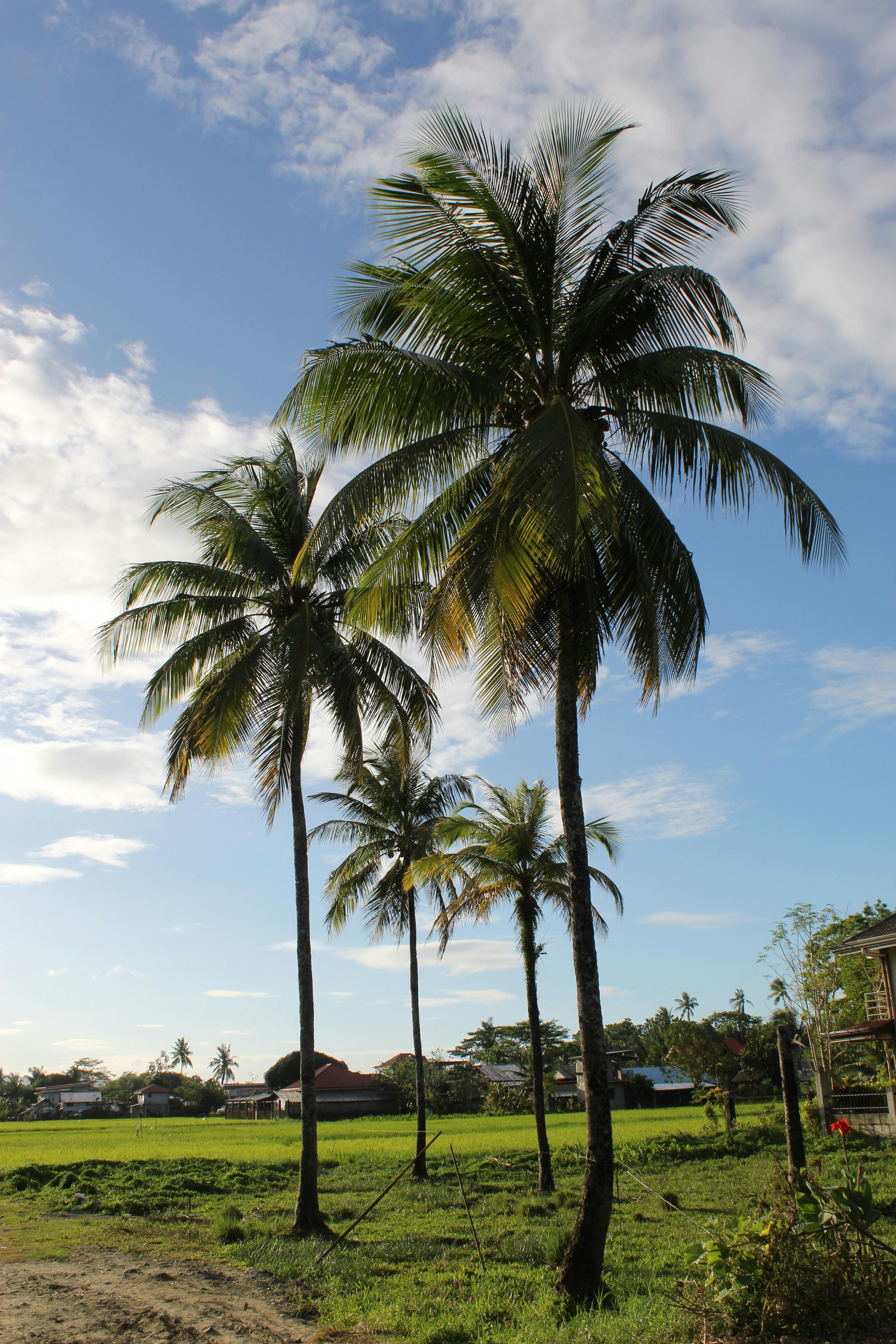 Persona trabajando con un portátil al aire libre, simbolizando el nomadismo digital