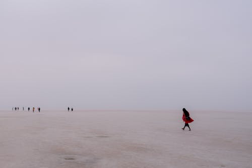 Foto profissional grátis de andando, areia, costa