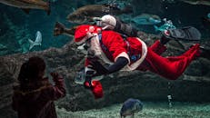 一名穿着圣诞老人套装的潜水员在水族馆里游泳，与玻璃另一边的孩子互动