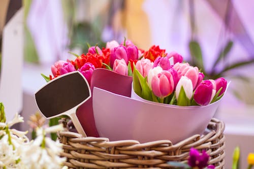 Free Tulips in a Basket  Stock Photo