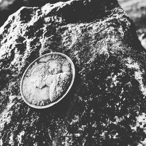 바위 위에 빅토리아 여왕 동전의 회색조 사진