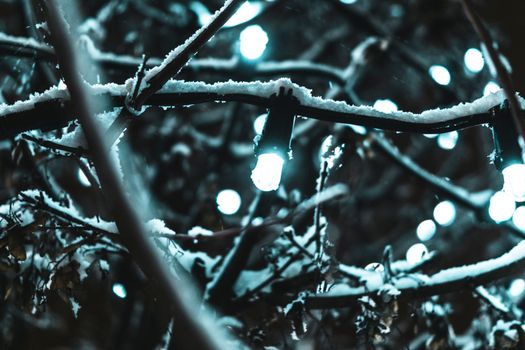 冬夜特写：白雪覆盖的树枝上，串灯闪闪发光，烘托出冬日氛围