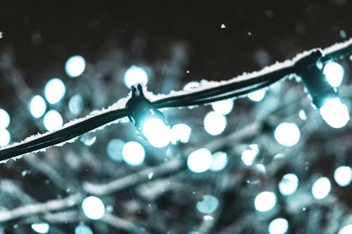 Free Shallow Focus Photography of Black String Light Stock Photo