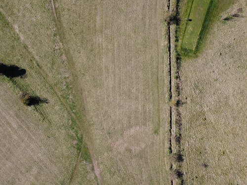 Aerial Shot of a Farm Field
