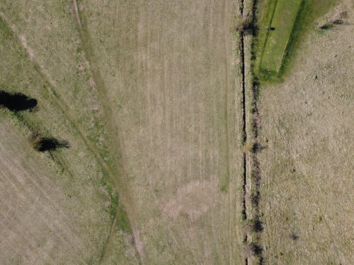 Immagine gratuita di azienda agricola, campagna, campo