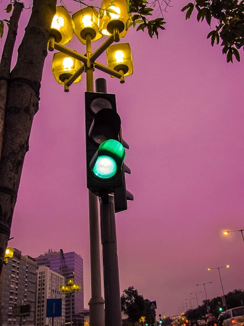 Free Black Traffic Light at Go Sign Stock Photo
