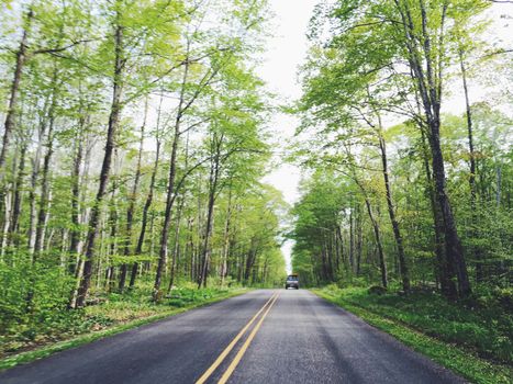 A straight road through a lush green forest with a car driving, showcasing nature in spring.