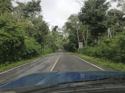 Free stock photo of road, road trip