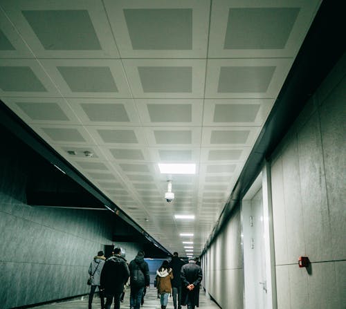 地鐵站, 後視圖, 步行 的 免費圖庫相片