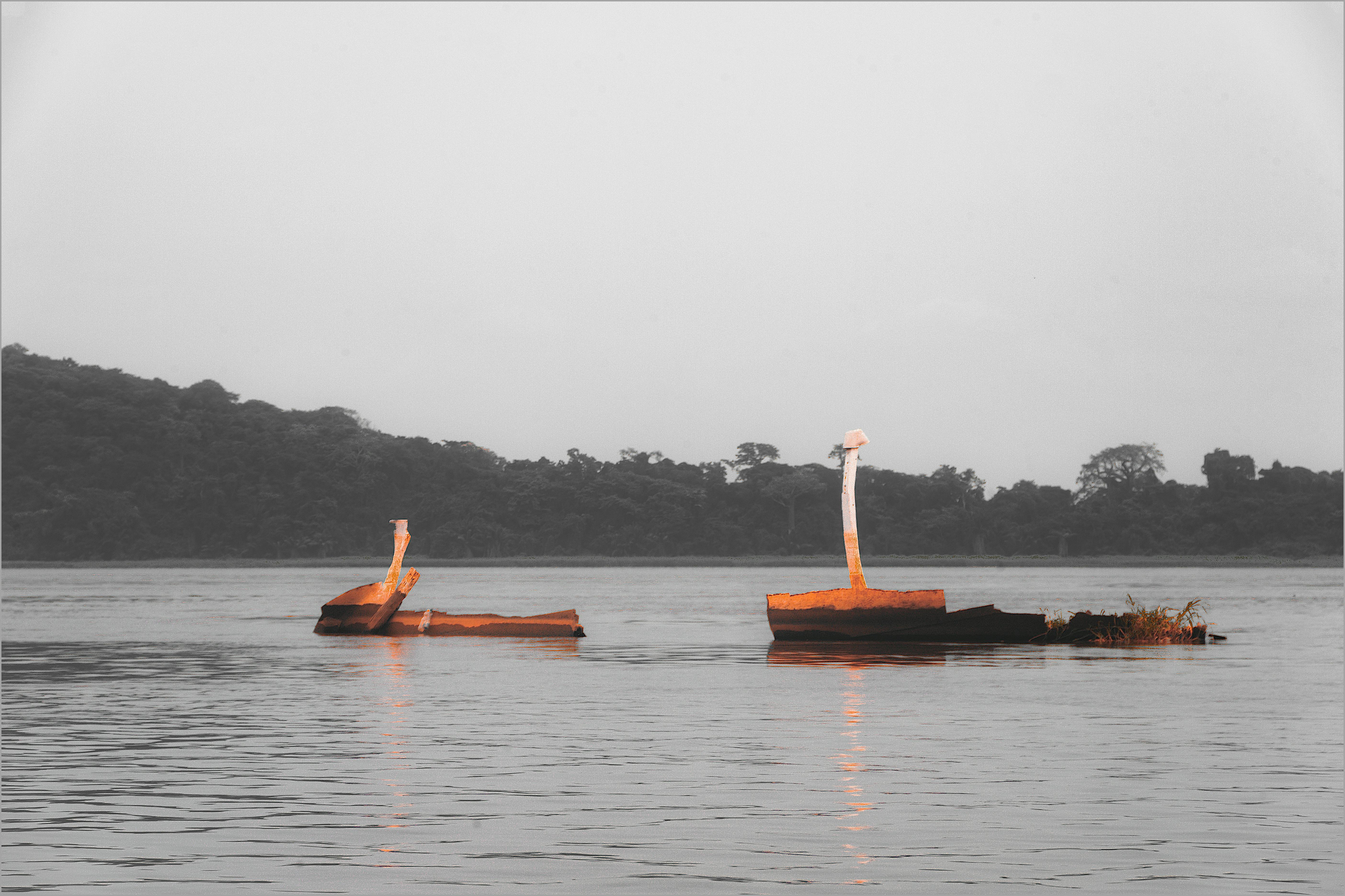 مطالعه برچسب و تاریخ مصرف روی بطری