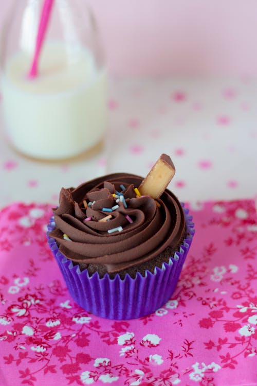 Free Chocolate Cupcake Stock Photo