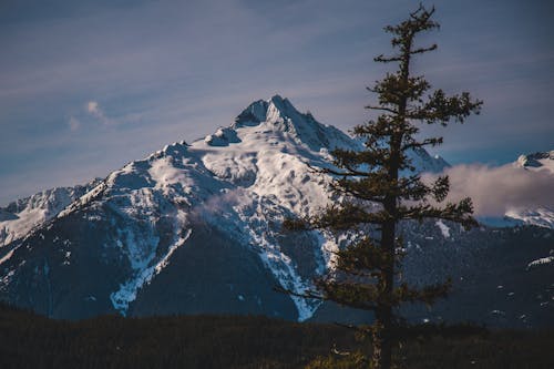 Montagne Couverte De Neige