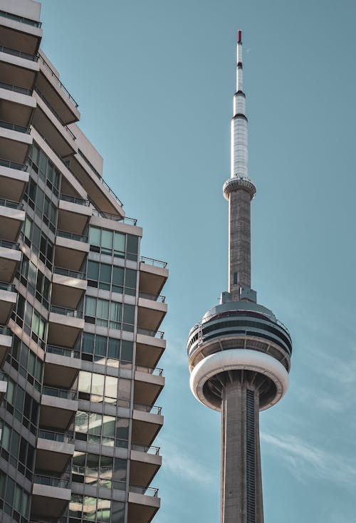 무료 CN 타워, 가장 높은, 건축의 무료 스톡 사진