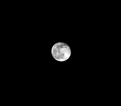 Free A detailed view of the full moon in a clear night sky, offering a captivating lunar experience. Stock Photo